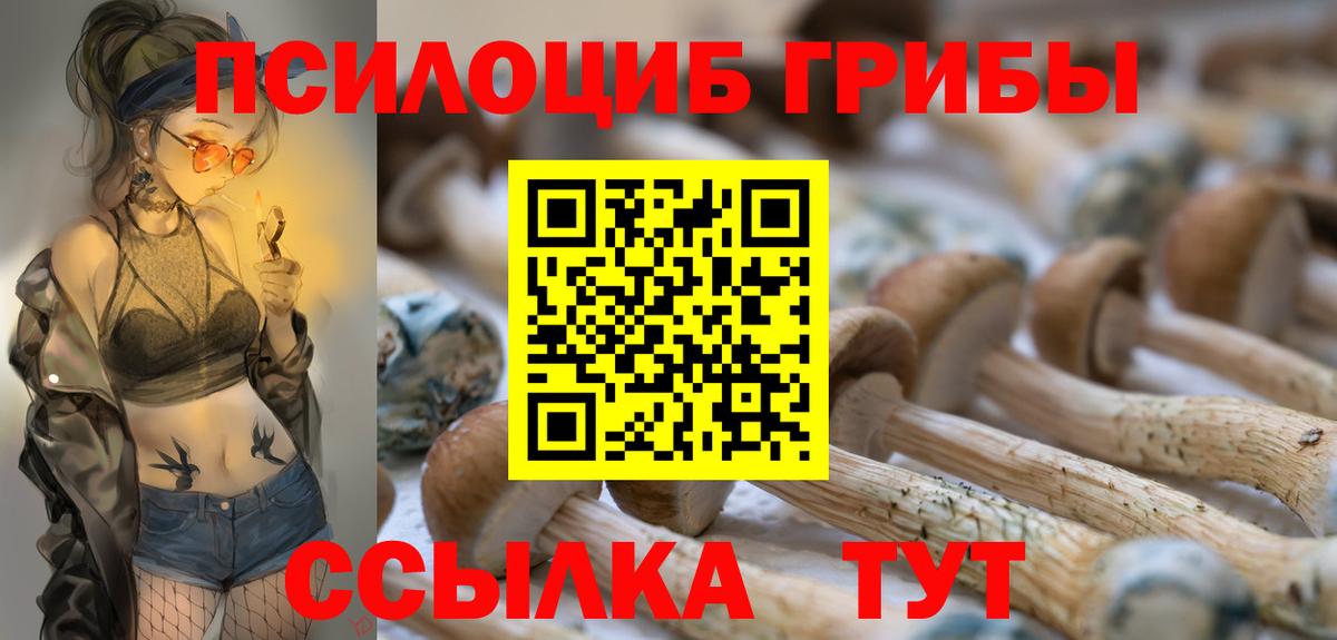 Псилоцибиновые грибы MAGIC MUSHROOMS Богородск