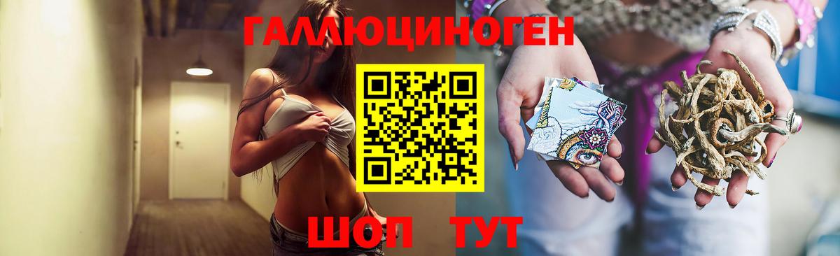 Богородск  Псилоцибиновые грибы мицелий  Вход с VPN  Псилоцибиновые грибы Cubensis 